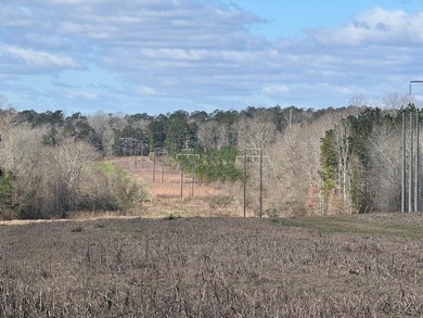 Looking for land in the country but not far from town? This is - photo 11