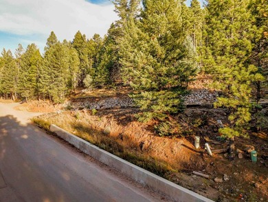 Prime Location - Just Steps from the Slopes! This is the closest - photo 11