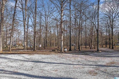 Main Channel Waterfront building lot with 2 Acres on Lay Lake - photo 12