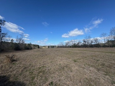 Looking for land in the country but not far from town? This is - photo 12