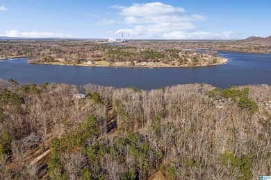 Main Channel Waterfront building lot with 2 Acres on Lay Lake - photo 13