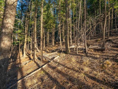 Prime Location - Just Steps from the Slopes! This is the closest - photo 13