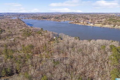 Main Channel Waterfront building lot with 2 Acres on Lay Lake - photo 14