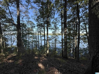 Main Channel Waterfront building lot with 2 Acres on Lay Lake - photo 15