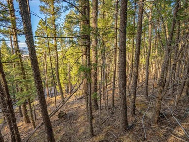 Prime Location - Just Steps from the Slopes! This is the closest - photo 15