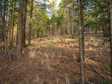 Prime Location - Just Steps from the Slopes! This is the closest - photo 16