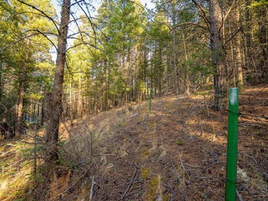 Prime Location - Just Steps from the Slopes! This is the closest - photo 17