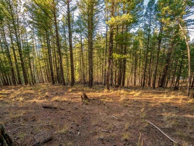 Prime Location - Just Steps from the Slopes! This is the closest - photo 19