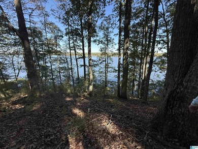 Main Channel Waterfront building lot with 2 Acres on Lay Lake - photo 20