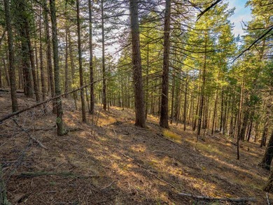 Prime Location - Just Steps from the Slopes! This is the closest - photo 20