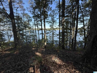Main Channel Waterfront building lot with 2 Acres on Lay Lake - photo 21