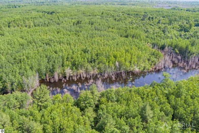 Lake Huron - Presque Isle County Acreage For Sale in Rogers City Michigan