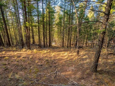 Prime Location - Just Steps from the Slopes! This is the closest - photo 21
