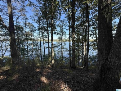 Main Channel Waterfront building lot with 2 Acres on Lay Lake - photo 22