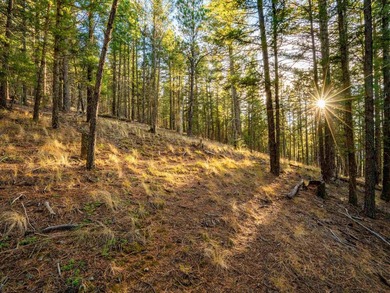 Prime Location - Just Steps from the Slopes! This is the closest - photo 23