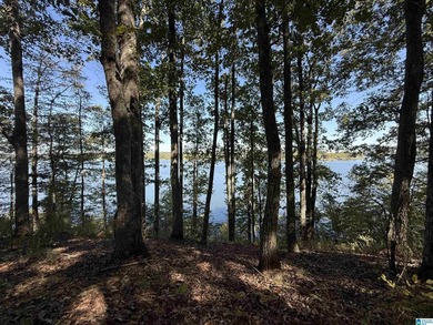 Main Channel Waterfront building lot with 2 Acres on Lay Lake - photo 24
