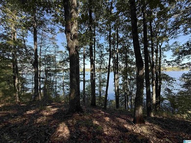 Main Channel Waterfront building lot with 2 Acres on Lay Lake - photo 25