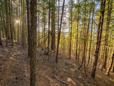 Prime Location - Just Steps from the Slopes! This is the closest - photo 25