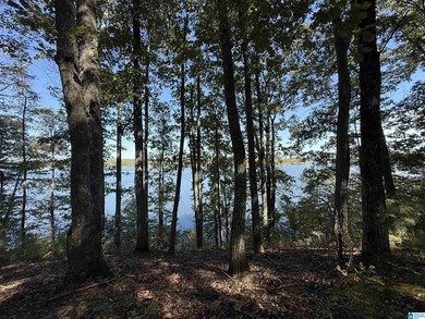 Main Channel Waterfront building lot with 2 Acres on Lay Lake - photo 26