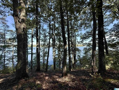 Main Channel Waterfront building lot with 2 Acres on Lay Lake - photo 27