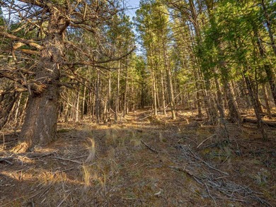 Prime Location - Just Steps from the Slopes! This is the closest - photo 28