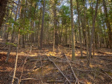 Prime Location - Just Steps from the Slopes! This is the closest - photo 29