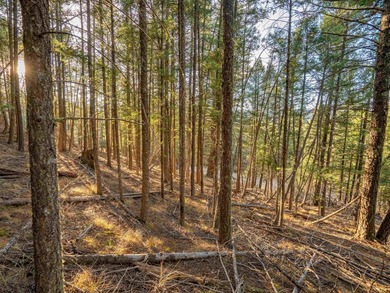 Prime Location - Just Steps from the Slopes! This is the closest - photo 30