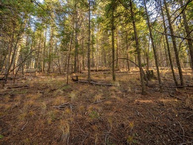 Prime Location - Just Steps from the Slopes! This is the closest - photo 31