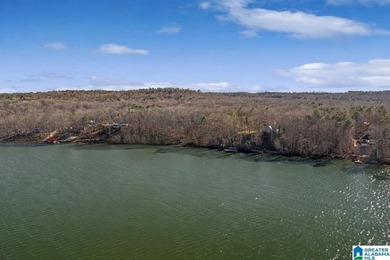 Main Channel Waterfront building lot with 2 Acres on Lay Lake - photo 32