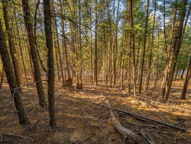 Prime Location - Just Steps from the Slopes! This is the closest - photo 32