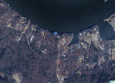 Main Channel Waterfront building lot with 2 Acres on Lay Lake - photo 34