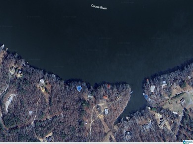 Main Channel Waterfront building lot with 2 Acres on Lay Lake - photo 35