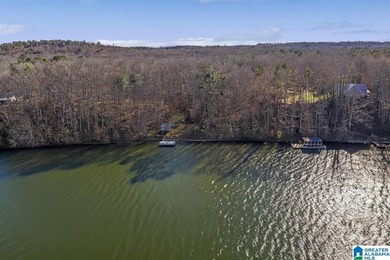 Main Channel Waterfront building lot with 2 Acres on Lay Lake - photo 37