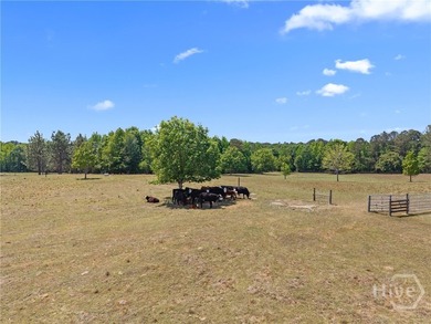 This stunning home sits on 90.61 acres and offers the perfect - photo 44