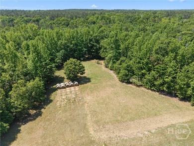 This stunning home sits on 90.61 acres and offers the perfect - photo 46