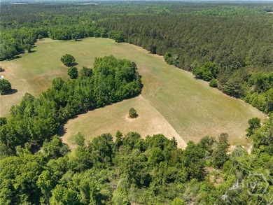This stunning home sits on 90.61 acres and offers the perfect - photo 47