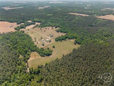 This stunning home sits on 90.61 acres and offers the perfect - photo 50