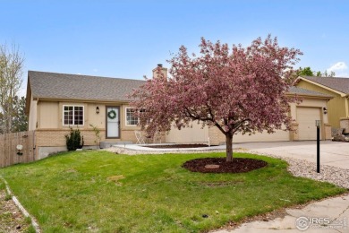 Lake Home For Sale in Loveland, Colorado