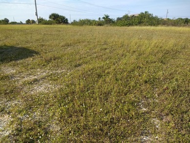 This property has a lot size of 10628 sqft. 0.24 Acres Wide - photo 3