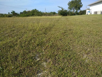 This property has a lot size of 10628 sqft. 0.24 Acres Wide - photo 4