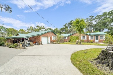 (private lake, pond, coastal) Home For Sale in Darien Georgia