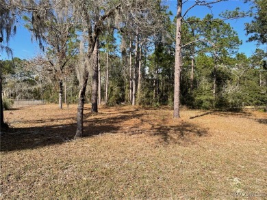 Lake Lot For Sale in Dunnellon, Florida