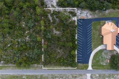 Lake Weohyakapka Lot For Sale in  Florida