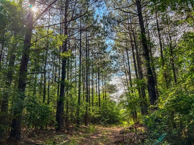 A recreational paradise located in the heart of Arkansas. From - photo 11