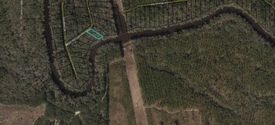 Withlacoochee River - Madison County Lot For Sale in Jasper Florida