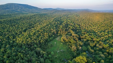 A recreational paradise located in the heart of Arkansas. From - photo 13