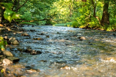 A recreational paradise located in the heart of Arkansas. From - photo 14