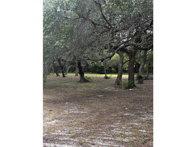 Gated 6.26 acres in Ingleside - Natural pond -Mature live oaks - - photo 16