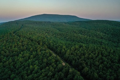 A recreational paradise located in the heart of Arkansas. From - photo 16