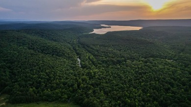 A recreational paradise located in the heart of Arkansas. From - photo 17